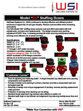BS Flyer