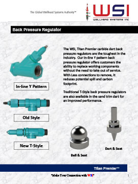 WSI BPR Catalog