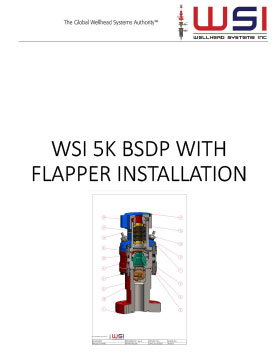 5K Flanged BSDP Installation