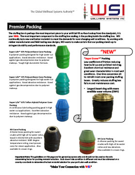 Premier Packing Flyer